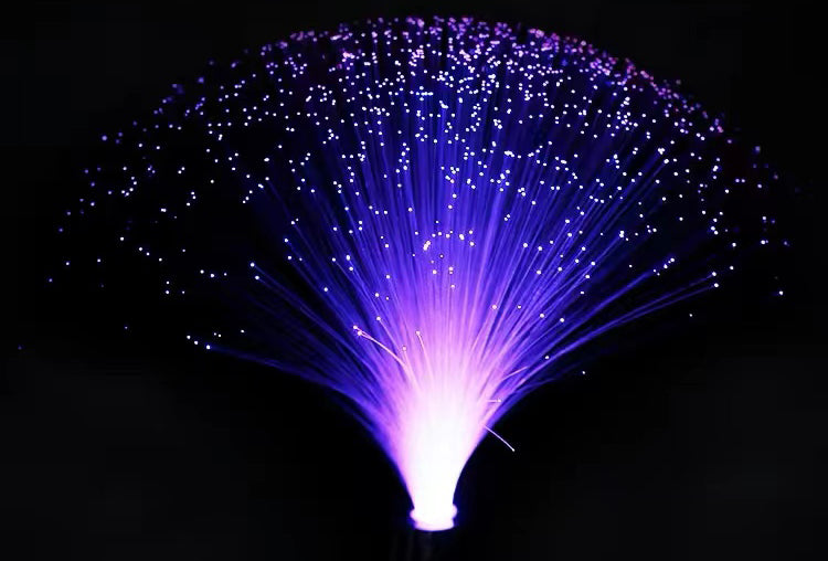 What is Fiber Optic Light？